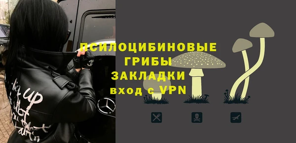 спиды Алексеевка