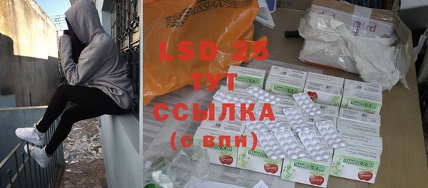 сатива Елизово