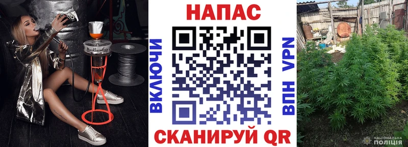 Бошки марихуана VHQ  сколько стоит  Старый Оскол 